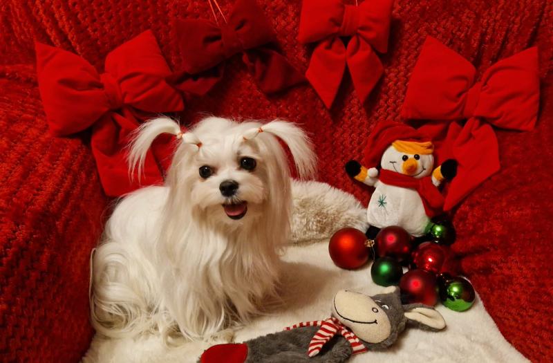 Ulvi2016 uploaded   137  day/s  ago