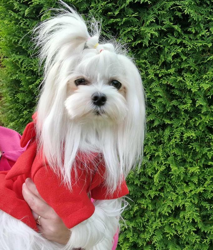 Ulvi2016 uploaded   222  day/s  ago