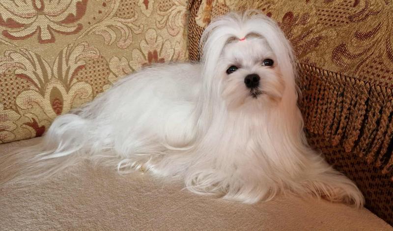 Ulvi2016 uploaded   215  day/s  ago