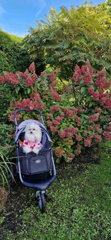 Ulvi2016 uploaded   208  day/s  ago