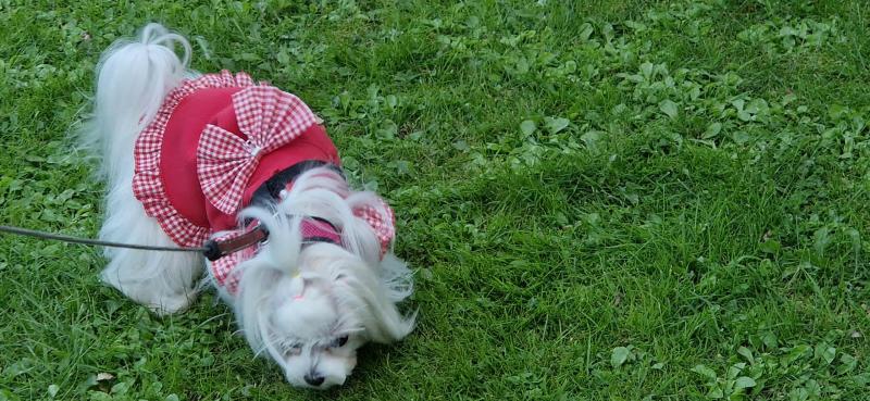 Ulvi2016 uploaded   201  day/s  ago