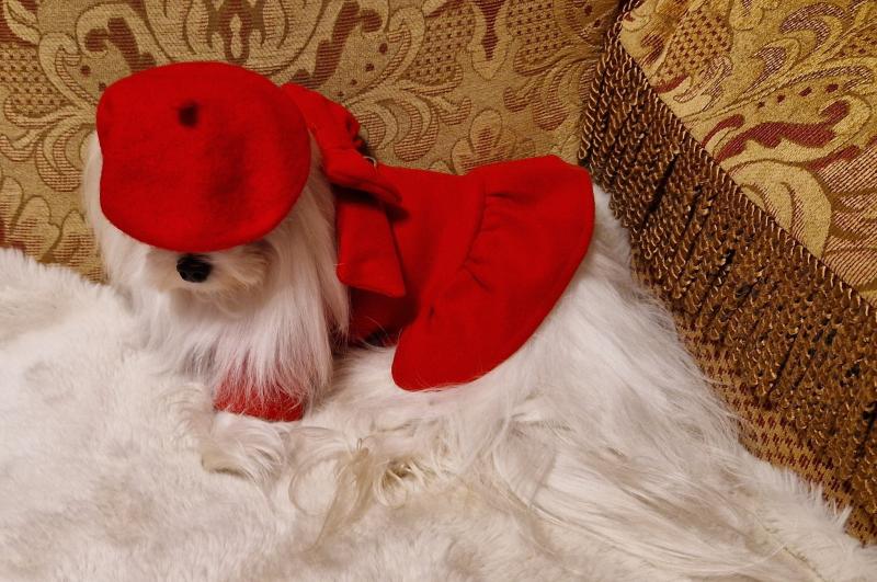 Ulvi2016 uploaded   157  day/s  ago