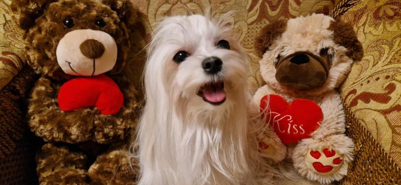 Ulvi2016 uploaded   144  day/s  ago