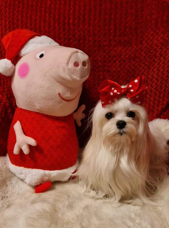 Ulvi2016 uploaded   133  day/s  ago