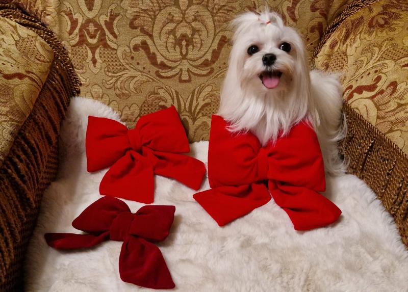 Ulvi2016 uploaded   138  day/s  ago