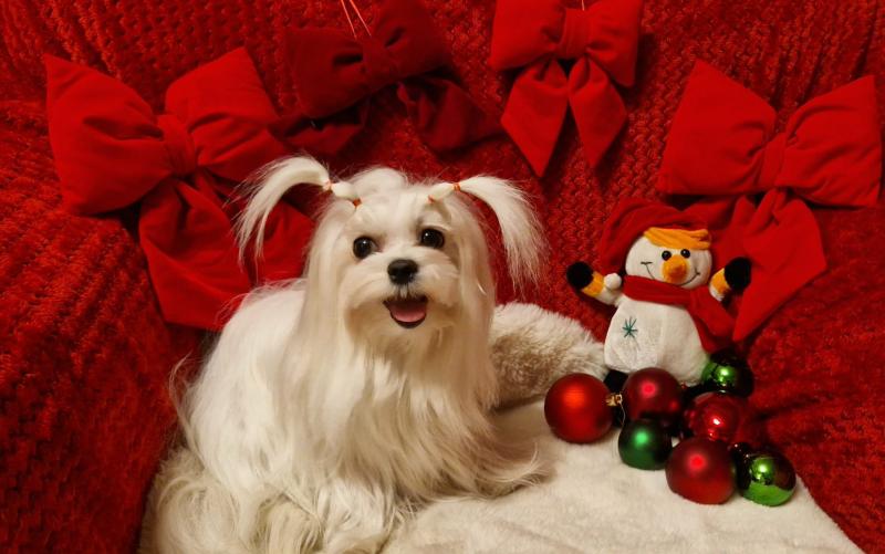 Ulvi2016 uploaded   137  day/s  ago