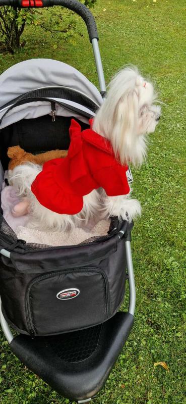 Ulvi2016 uploaded   222  day/s  ago