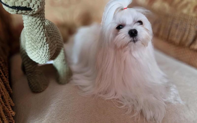 Ulvi2016 uploaded   215  day/s  ago