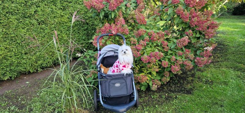 Ulvi2016 uploaded   208  day/s  ago