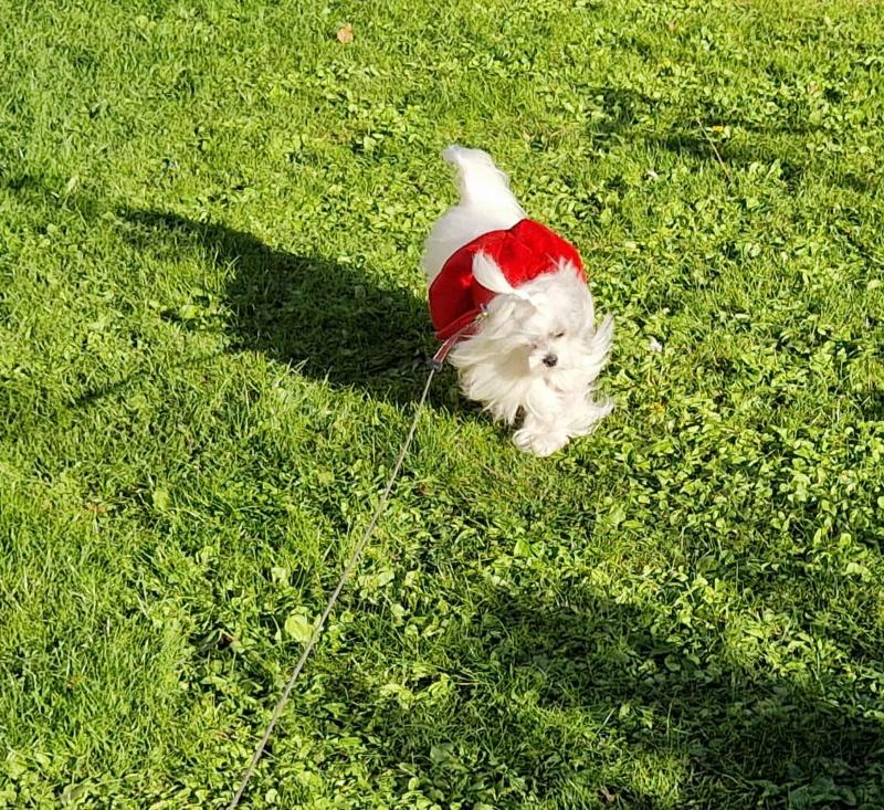 Ulvi2016 uploaded   201  day/s  ago