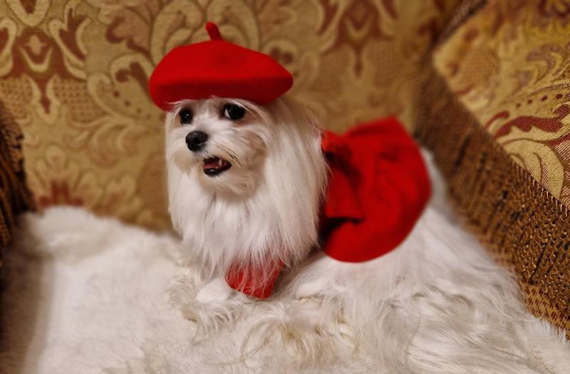 Ulvi2016 uploaded   157  day/s  ago