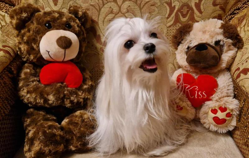 Ulvi2016 uploaded   144  day/s  ago