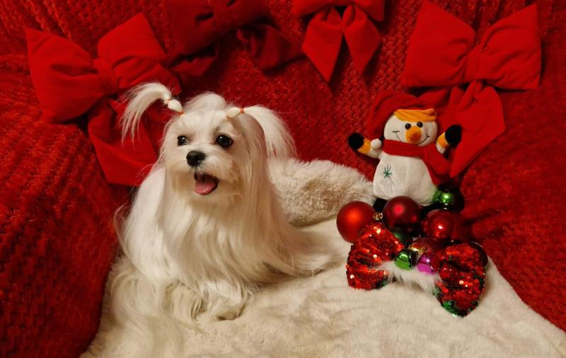 Ulvi2016 uploaded   137  day/s  ago