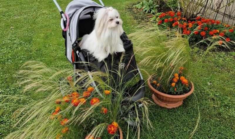 Ulvi2016 uploaded   222  day/s  ago