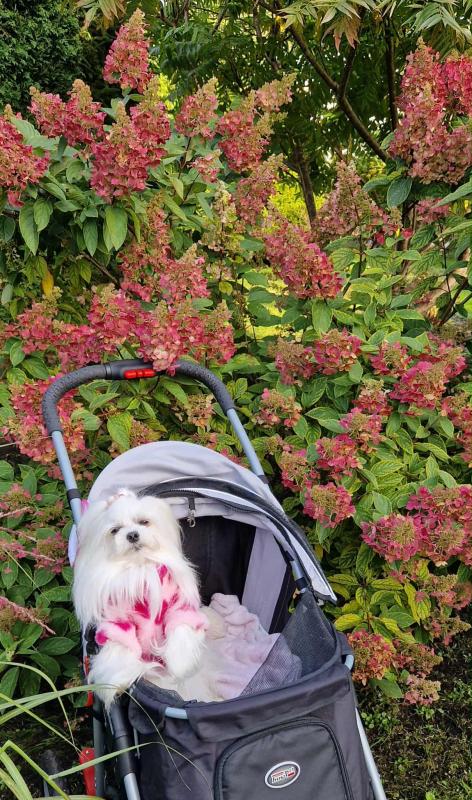 Ulvi2016 uploaded   208  day/s  ago