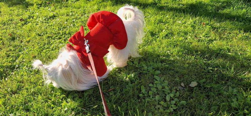 Ulvi2016 uploaded   201  day/s  ago