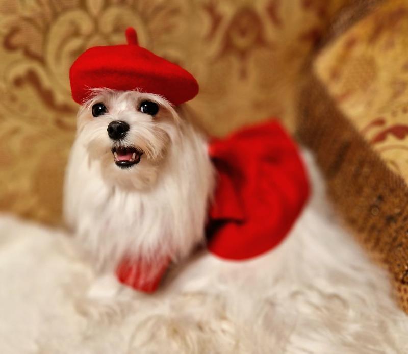 Ulvi2016 uploaded   157  day/s  ago