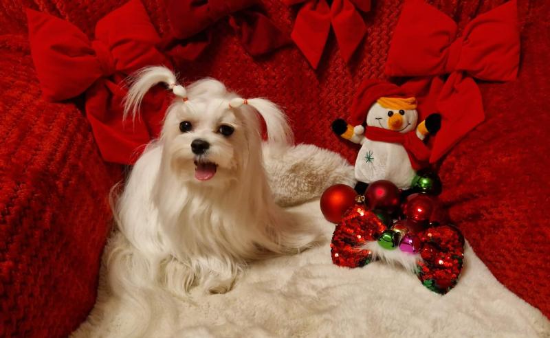 Ulvi2016 uploaded   137  day/s  ago