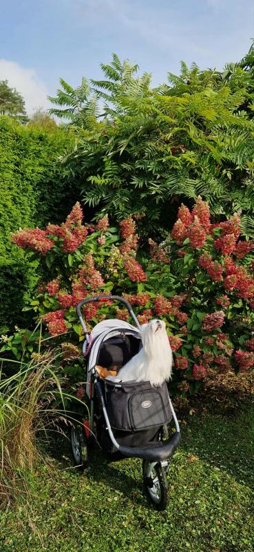 Ulvi2016 uploaded   222  day/s  ago