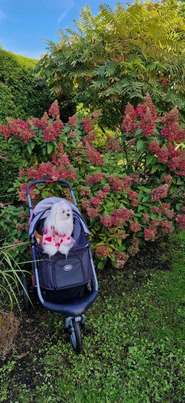 Ulvi2016 uploaded   208  day/s  ago