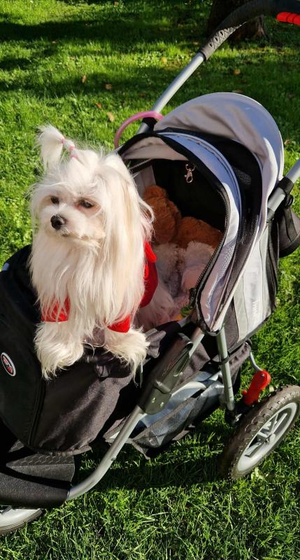 Ulvi2016 uploaded   201  day/s  ago