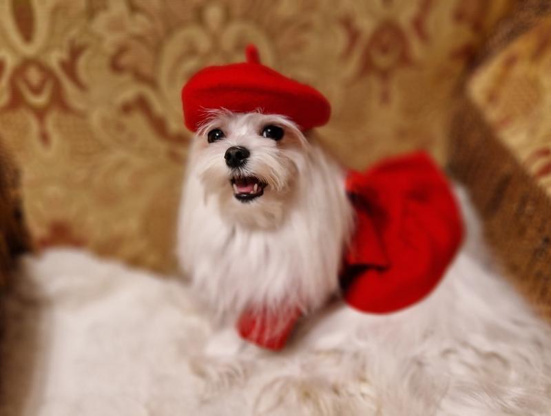 Ulvi2016 uploaded   157  day/s  ago