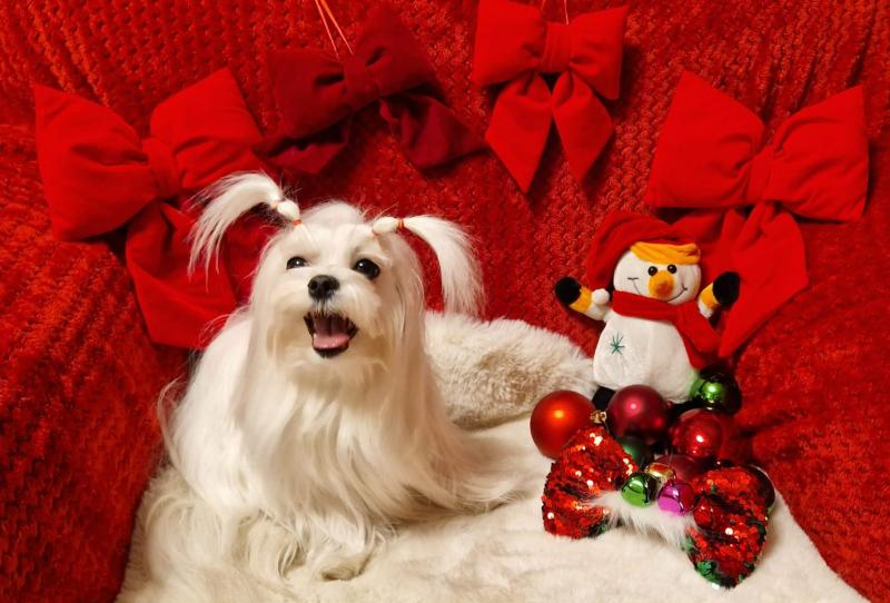 Ulvi2016 uploaded   137  day/s  ago