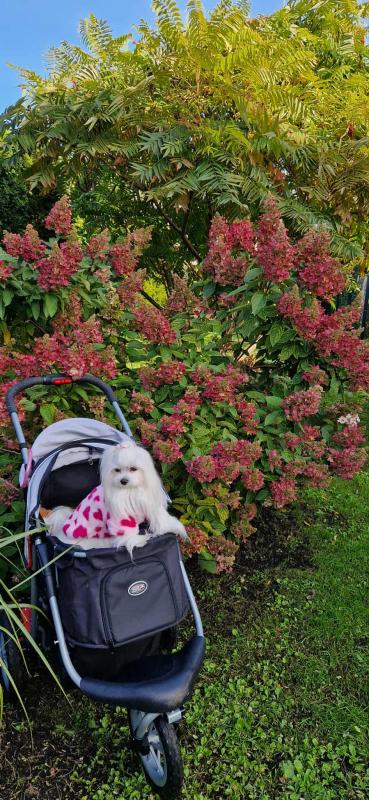 Ulvi2016 uploaded   208  day/s  ago