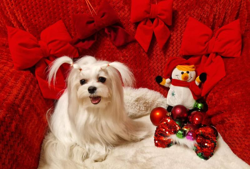 Ulvi2016 uploaded   137  day/s  ago