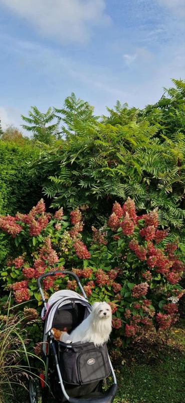 Ulvi2016 uploaded   222  day/s  ago