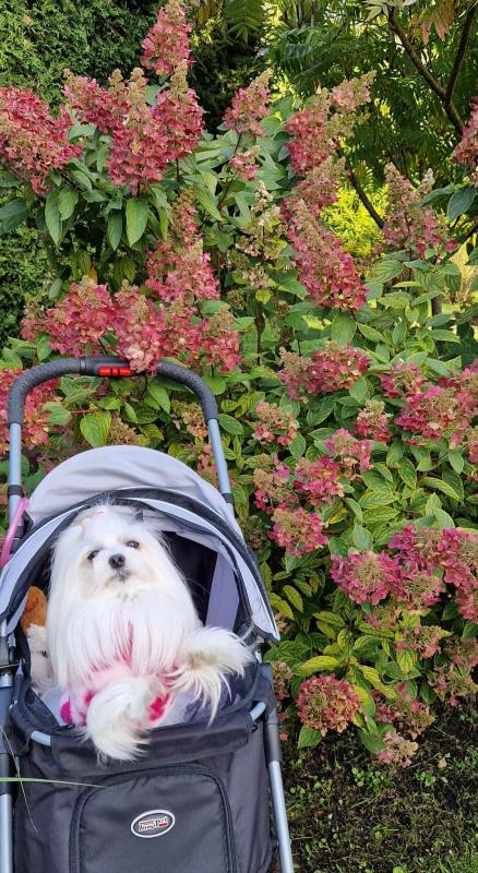 Ulvi2016 uploaded   208  day/s  ago