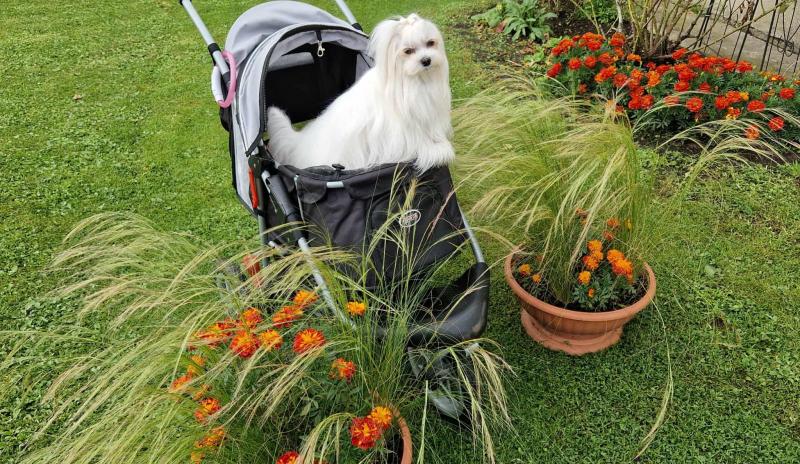 Ulvi2016 uploaded   222  day/s  ago