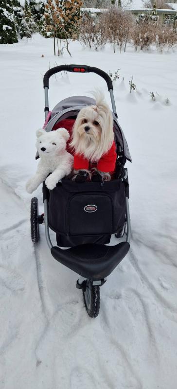 Ulvi2016 uploaded   90  day/s  ago