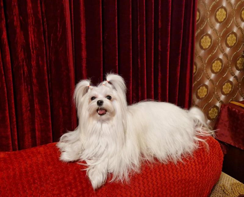 Ulvi2016 uploaded   85  day/s  ago