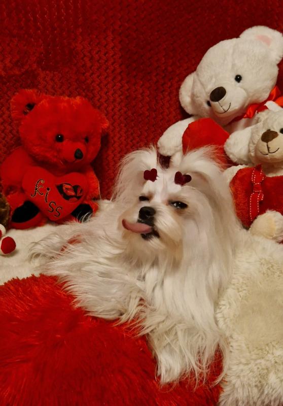 Ulvi2016 uploaded   71  day/s  ago