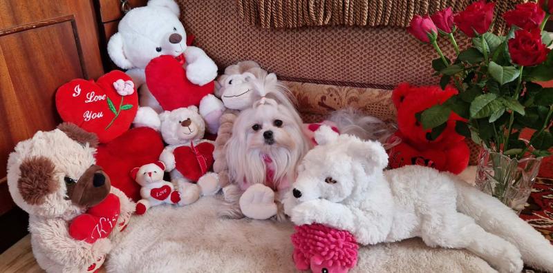 Ulvi2016 uploaded   2  day/s  ago