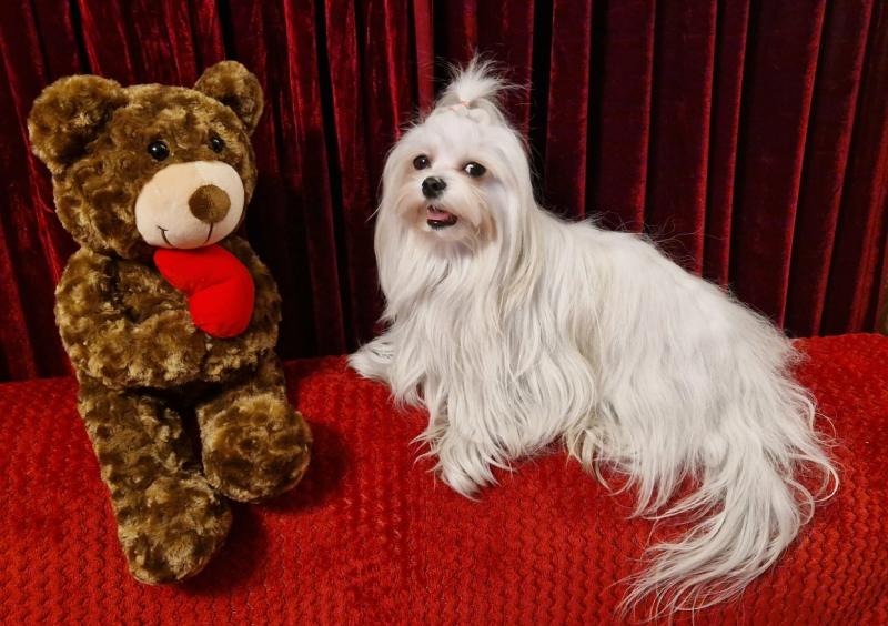 Ulvi2016 uploaded   73  day/s  ago