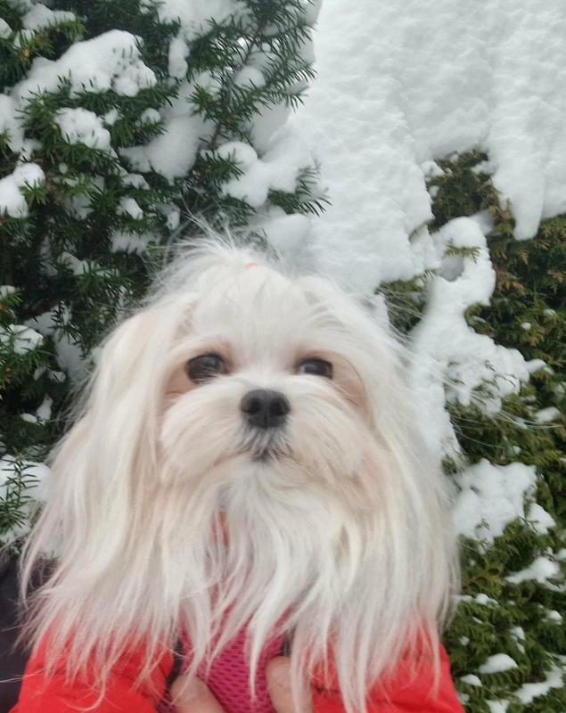 Ulvi2016 uploaded   73  day/s  ago