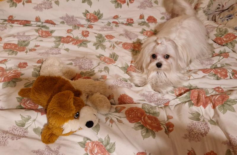 Ulvi2016 uploaded   73  day/s  ago