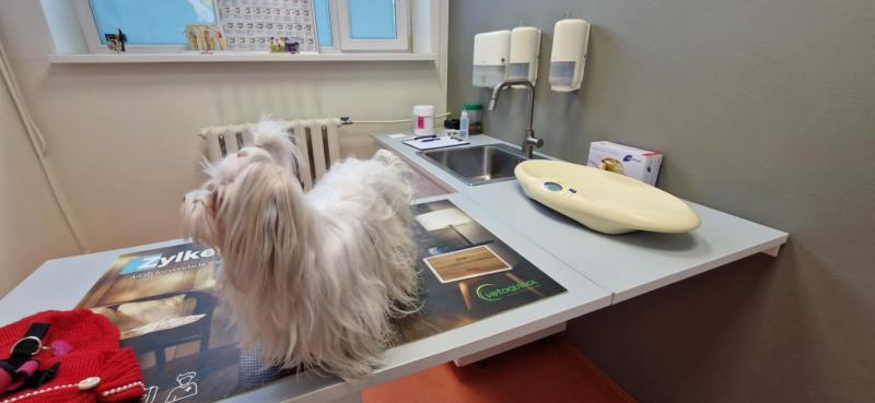 Ulvi2016 uploaded   31  day/s  ago