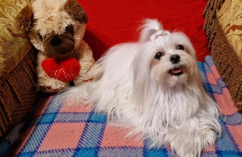 Ulvi2016 uploaded   24  day/s  ago