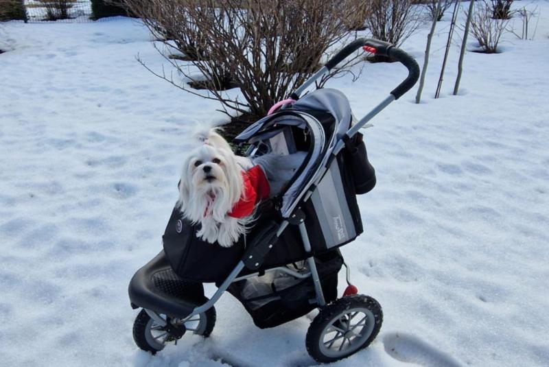 Ulvi2016 uploaded   38  day/s  ago