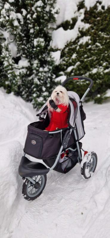 Ulvi2016 uploaded   99  day/s  ago