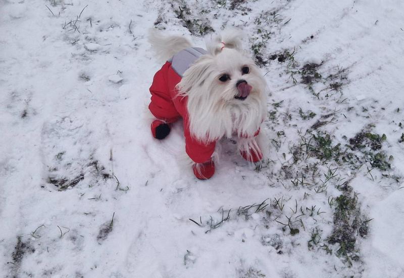 Ulvi2016 uploaded   2  day/s  ago