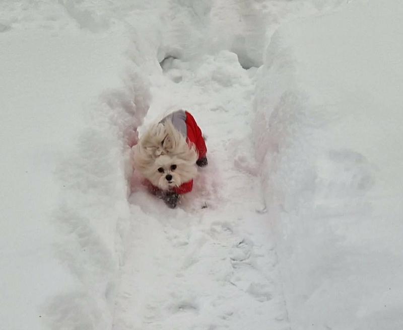 Ulvi2016 uploaded   99  day/s  ago