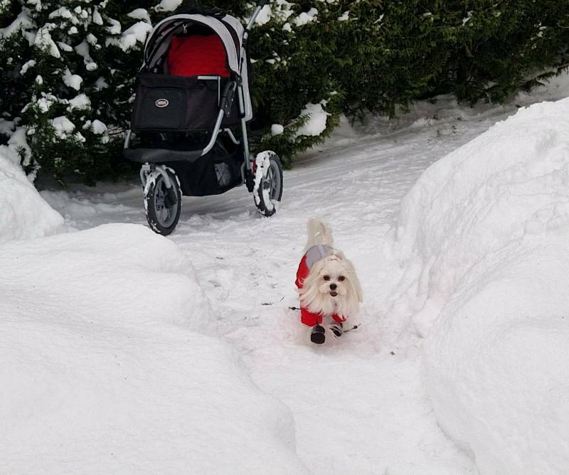 Ulvi2016 uploaded   99  day/s  ago