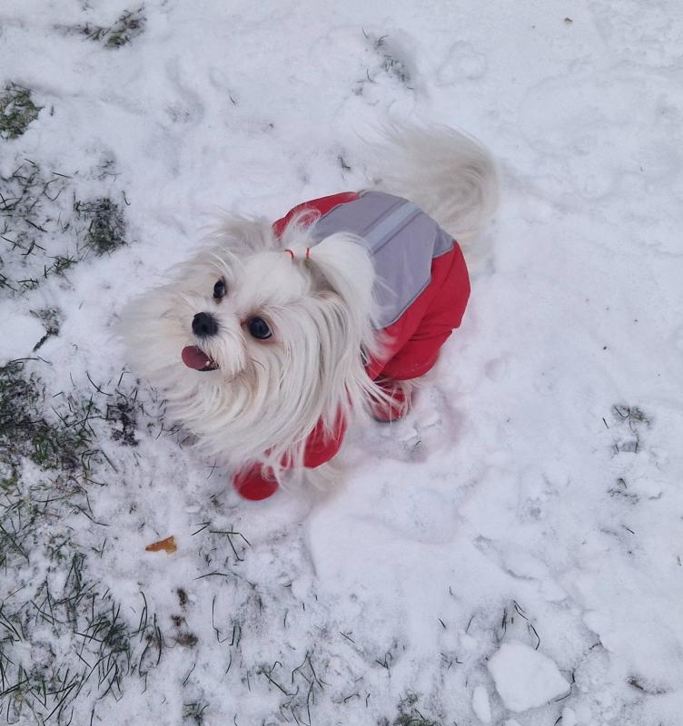 Ulvi2016 uploaded   2  day/s  ago