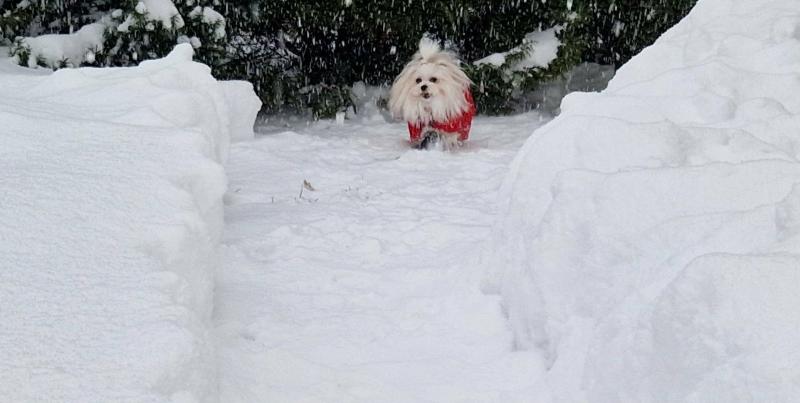 Ulvi2016 uploaded   99  day/s  ago