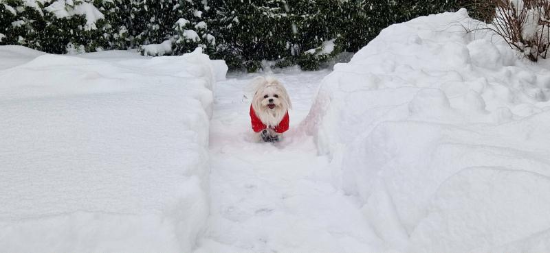 Ulvi2016 uploaded   99  day/s  ago