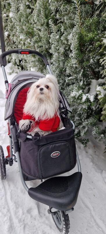 Ulvi2016 uploaded   90  day/s  ago